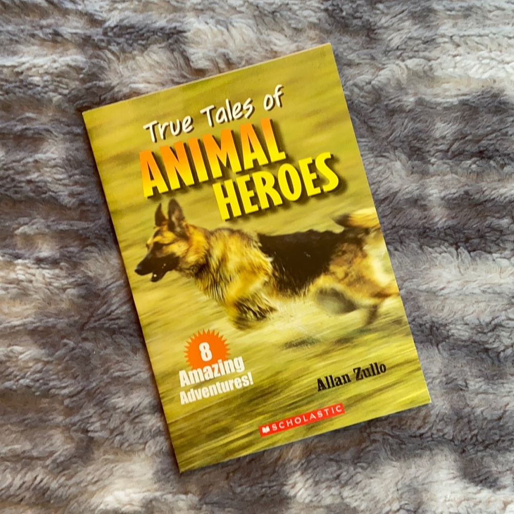 🌟“True Tales of Animal Heroes 8 Amazing Adventures” Allan Zullo Scholastic Book